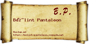 Bálint Pantaleon névjegykártya